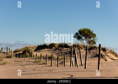 Seilzaun mit Holzpfosten an einem Sandstrand mit Dünen .Yyteri, Pori, Finnland Stockfoto