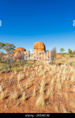 Ausgewogener, runder, erodierter Granitfelsen und gelbe Gräser bei Devil's Marbles, einem beliebten Touristenziel im Northern Territory, NT, Australien Stockfoto