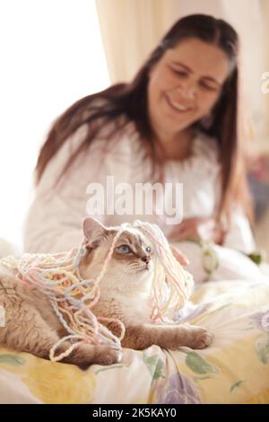 Ihr Leben mit Liebe füllen. Eine Frau, die die mit Garn bedeckte Katze liebevoll anschaut, während sie auf einem Bett liegt. Stockfoto