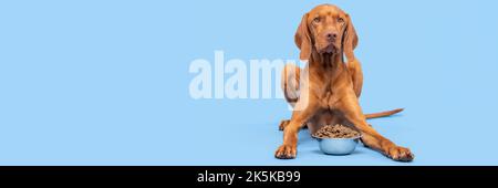 Aufnahme im Hundefutter-Studio. Vizsla Hund mit Schale voller Kibble isoliert auf pastellblauem Hintergrund. Banner für trockenes Tierfutter. Stockfoto