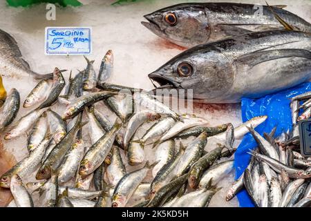 Frischer Fisch auf einem Fischmarkt in Barcelona, Spanien Stockfoto