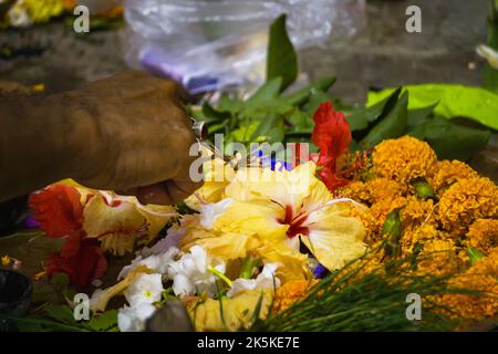 Puja-Rituale, die von hindu-Priestern mit Blumen wie chinarose, Hibiskus, Ringelblume und anderen Gewürzen während kali-Puja, durga-Puja und anderen Gewürzen durchgeführt werden Stockfoto