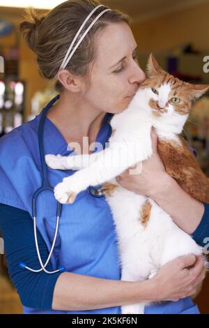 Leidenschaftlich über Tierpflege. Ein liebevoller Tierarzt hält und küsst eine Katze. Stockfoto