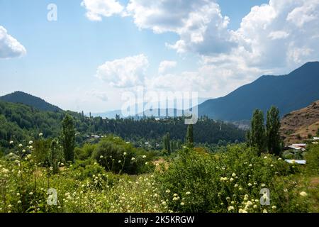 Arsiyan Hochland der Provinz Artvin der Türkei Stockfoto