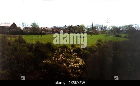 Ein frühfarbiges Foto von Feldern bei Larpool neben der Larpool Lane. Whitby, North Yorkshire, Großbritannien. Jetzt als Wohnsiedlung gebaut. Der Blick geht in Richtung Larpool Crescent (links) mit dem Whitby Friedhof rechts und dem Turm der Kapelle der Ruhe, der über den Bäumen zu sehen ist. Das Feld am Boden fällt durch Wald und Gestrüpp zum Fluss Esk ab. Stockfoto