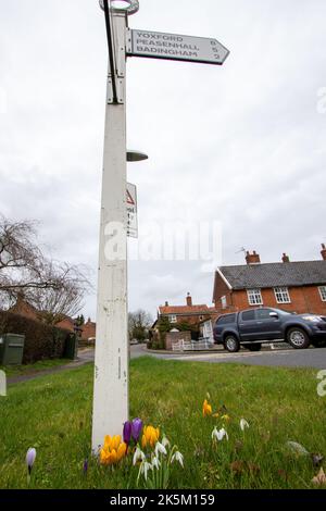 Zeichen des Frühlings mit Krokussen und Schneeglöckchen, die an einem Grasrand in Dennington Suffolk wachsen Stockfoto