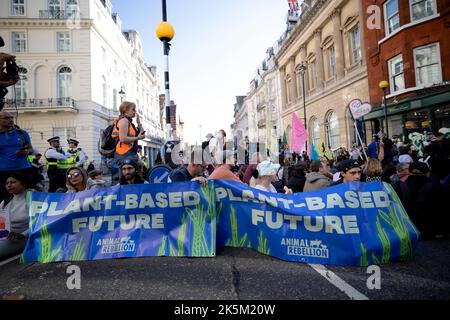 London, Großbritannien. 08. Oktober 2022. Aktivisten sahen, wie sie mit ihren Spruchbändern und Plakaten auf der Straße saßen, während sie während der Demonstration Straßenblockaden verursachten. Animal Rebellion, eine aktivistische Gruppe, die sich für vegetarische und vegane Ernährung einsetzt, um die Klimakrise zu bekämpfen, hat in Zusammenarbeit mit Just Stop Oil Maßnahmen ergriffen, um mehrere Kreuzungen im Zentrum von London zu blockieren. Die Aktivisten haben auch Geschäfte ins Visier genommen, die Tierquälerei fördern. (Foto von Hesther Ng/SOPA Images/Sipa USA) Quelle: SIPA USA/Alamy Live News Stockfoto