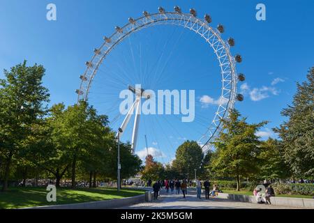 Das London Eye vom Jubilee Park and Gardens, im Zentrum von London, Großbritannien Stockfoto