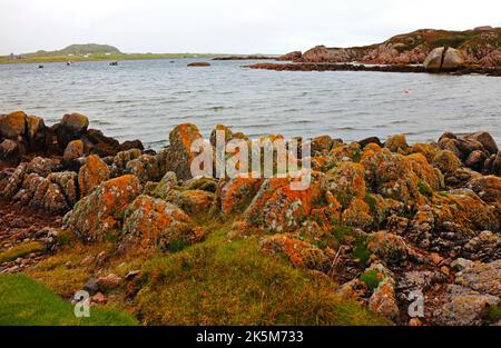 Ein Blick auf die Küste über den Sound of Iona in Richtung der Isle of Iona von Fionnphort, Isle of Mull, Schottland. Stockfoto