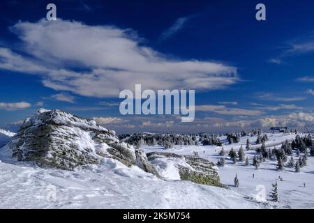 Schöne Landschaft mit verschneiten Land, Tannen und einem bewölkten Himmel über in Kopaonik Berg, Serbien Stockfoto