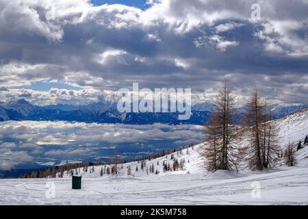 Eine verschneite Landschaft aus getrockneten Bäumen und hohen Bergen, die Wolken in Serbien erreichen Stockfoto