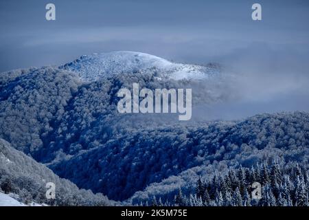 Der wunderschöne Kopaonik-Berg, bedeckt von Schnee, Tannen und Nebel in Serbien Stockfoto