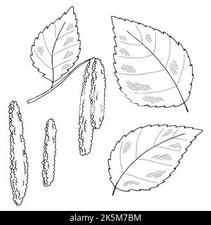 Birke Ohrringe Pflanze Grafik schwarz weiß isoliert Skizze Illustration Vektor Stock Vektor