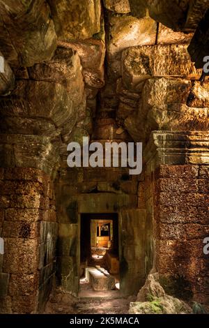 Im Inneren des Ta Nei Angkor Tempels in Siem Reap aus Steinen aus kambodschanischen Steinbrüchen. Stockfoto