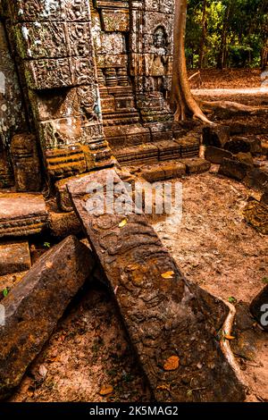 Eine lange dünne Steinplatte mit kunstvoller Flachreliefkunst auf dem Boden des Ta Nei Angkor Tempels. Stockfoto