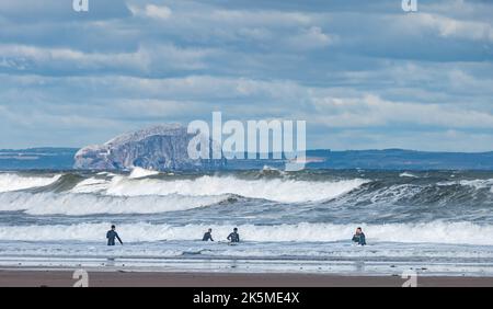 Surfer im Firth of Forth an einem windigen Tag mit großen Wellen mit der Bass Rock Insel in der Ferne, Schottland, Großbritannien Stockfoto