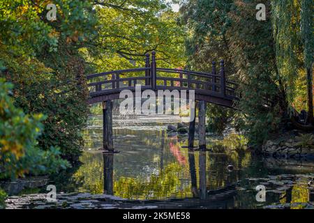 Holzbrücke Japanischer Garten Breslau Niederschlesien Polen Stockfoto