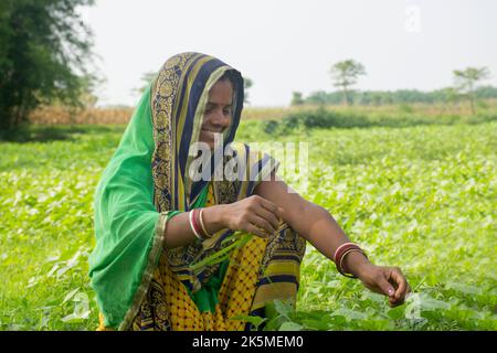 Glückliche indische Farmerin auf dem Ackerfeld Stockfoto