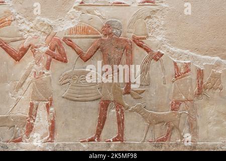 Altes Ägypten Steinrelief mit Vogelfiguren und verschiedenen Zeichen Stockfoto