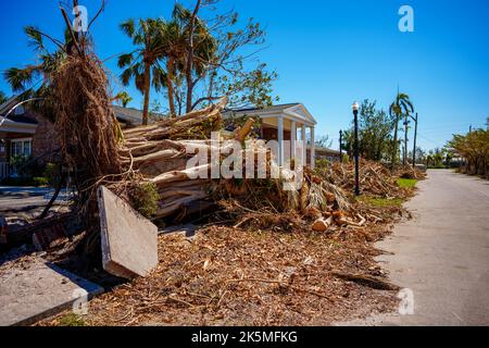 Bild eines Baumes, der nach dem von dem Bürgersteig in Punta Gorda gestipften wird, von dem der von dem Strudel zerrissene Ian Stockfoto