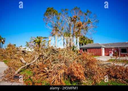 Baumtrümmer vom Unruck des Unrums Ian Punta Gorda FL Stockfoto