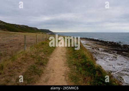 Sandiger, gewundener Fußweg über den felsigen Ufern der Gower Peninsula in der Nähe von Slade Bay. Stockfoto