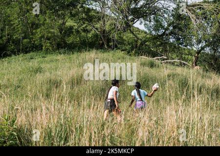 Zwei Bauernmädchen, brünette Latinas, die die Seite eines Berges hinunter gehen, gehen, um Brennholz zu bekommen, um Nahrung zu machen. Frauen gehen einen langen Weg, um zu ihrem zu gelangen Stockfoto