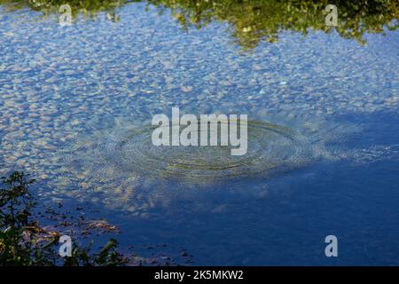 Runde Wassertröpfchen über Kreise auf dem Poolwasser. Wasser Tropfen, wirbeln und spritzen. Wellen auf Meer Textur Muster Hintergrund. Desktop-/Laptopwand Stockfoto