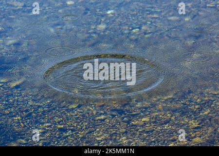 Runde Wassertröpfchen über Kreise auf dem Poolwasser. Wasser Tropfen, wirbeln und spritzen. Wellen auf Meer Textur Muster Hintergrund. Desktop-PC, Notebook-Wallp Stockfoto