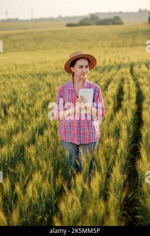 Ein junger Fcrmer überprüft ein Getreidefeld und sendet Daten von einer Tablette an die Wolke. Konzept von Smart Farming und digitaler Landwirtschaft. Erfolgreiche Produktion Stockfoto