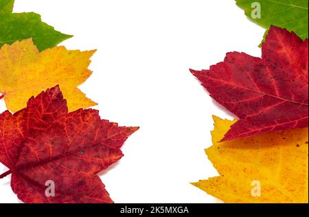 Rahmen aus bunten Blättern isoliert Stockfoto