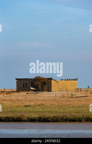 Landschaft mit verlassenen Gebäuden auf dem ehemaligen ballistischen Waffentestgelände, Orford Ness, Suffolk, England Stockfoto