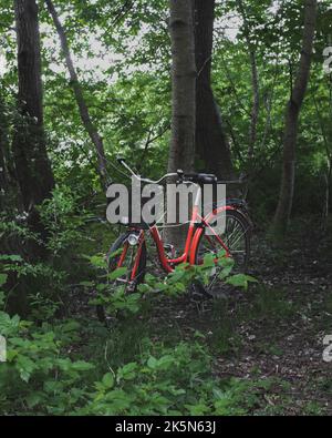 Eine vertikale Aufnahme eines roten Fahrrads in den grünen Wäldern Stockfoto