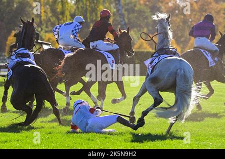 Pardubice, Tschechische Republik. 09. Oktober 2022. Jockey Jaroslav Brecka fällt während der Grand Pardubice Steeplechase 132. in Pardubice, Tschechische Republik, 9. Oktober 2022 von seinem Pferd Star. Kredit: Roman Vondrous/CTK Foto/Alamy Live Nachrichten Stockfoto