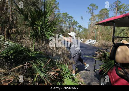 Frau schmettert beschädigte Sägepalettenzweige auf Müllhaufen am Straßenrand in North Fort Myers, Florida, 8. Oktober 2022, © Katharine Andriotis Stockfoto