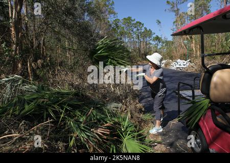 Frau schmettert beschädigte Sägepalettenzweige auf Müllhaufen am Straßenrand in North Fort Myers, Florida, 8. Oktober 2022, © Katharine Andriotis Stockfoto