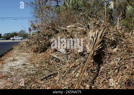 Bürsten, Gliedmaßen und Äste, die von dem US-Verkehrsinfarkt Ian niedergestreckt wurden, lagen am Straßenrand und warteten auf die Abholung in N Fort Myers, Florida, 8. Oktober 2022, © Katharine Andriotis Stockfoto