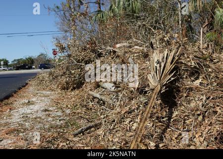 Bürsten, Gliedmaßen und Äste, die von dem US-Verkehrsinfarkt Ian niedergestreckt wurden, lagen am Straßenrand und warteten auf die Abholung in N Fort Myers, Florida, 8. Oktober 2022, © Katharine Andriotis Stockfoto