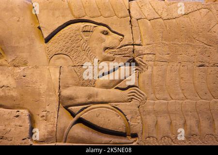 Pharaonische Figuren und Hieroglyphen, die an den Wänden des Kom Ombo-Tempels geschnitzt wurden Stockfoto