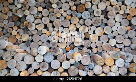 Brennholz im Holzschuppen. Wand aus gestapelten Holzstämmen als Hintergrund. Rundes Brennholz für den Kamin Stockfoto