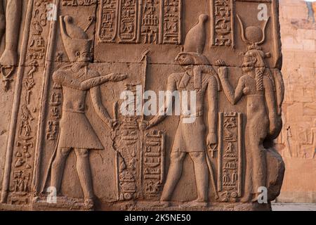 Pharaonische Figuren und Hieroglyphen, die an den Wänden des Kom Ombo-Tempels geschnitzt wurden Stockfoto