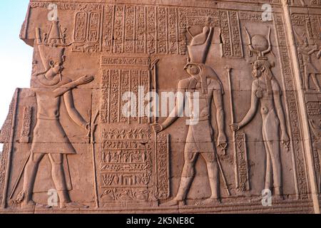 Pharaonische Figuren und Hieroglyphen, die an den Wänden des Kom Ombo-Tempels geschnitzt wurden Stockfoto