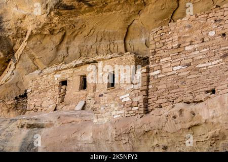 Die Wände des Miug House Cliff Wohnhauses im Mesa Verde National Park verbinden den Boden mit der Cliff-Decke Stockfoto