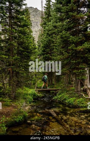 Frau Wandert Über Die Small Log Bridge Im Rocky Mountain National Park Stockfoto