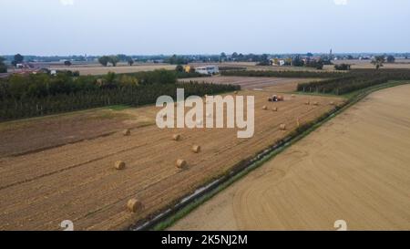 Ein Traktor pflückt Heuhaufen, Draufsicht. Stockfoto