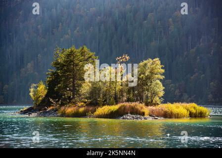 Insel im Eibsee bei Grainau, unterhalb der Zugspitze im Bezirk Garmisch-Partenkirchen, Bayern, Deutschland, Europa Stockfoto