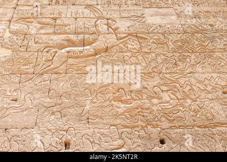 Hieroglyphen aus dem Tempel von Ramses III, Luxor, Ägypten. Stockfoto