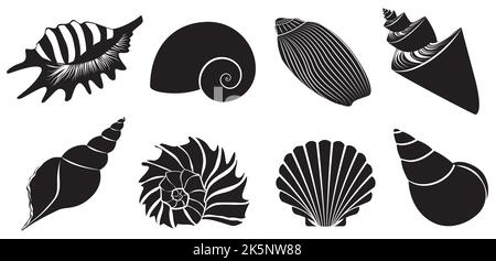 Seashell dunkelschwarze Silhouetten Set Vektor Illustration Stock Vektor