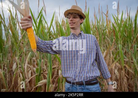 Der junge Bauer auf seinem Maisfeld zeigt stolz eine große geerntete Maiskolben. Stockfoto