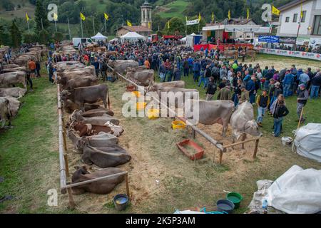 Serina Bergamo Italien 21. September 2022: Serina Livestock Fair, die größte Viehschau in den Bergamo-Tälern Stockfoto